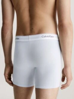 Calvin Klein Underwear BRIEF 5er Pack MODERN CS HOLIDAY Panties Trunks Für 31,09€ (Stückpreis 6,22€) -Mode Kleidung Verkauf 2254370 1 4