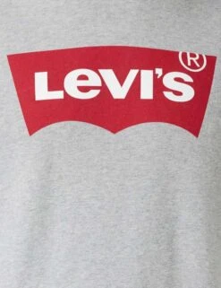 Levi's Standard Graphic Hoodie (Zalando / Amazon) Herren Kapuzenpullover In Hellgrau -Mode Kleidung Verkauf 2278502 1 2