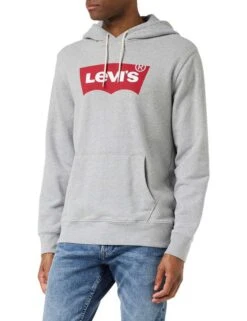 Levi's Standard Graphic Hoodie (Zalando / Amazon) Herren Kapuzenpullover In Hellgrau