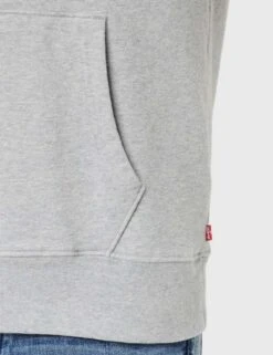 Levi's Standard Graphic Hoodie (Zalando / Amazon) Herren Kapuzenpullover In Hellgrau -Mode Kleidung Verkauf 2278502 1 3